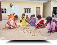 Peeling Betelnut